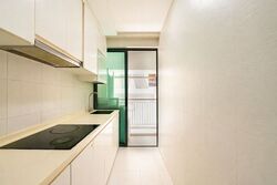 Haig Residences (D15), Apartment #537574571